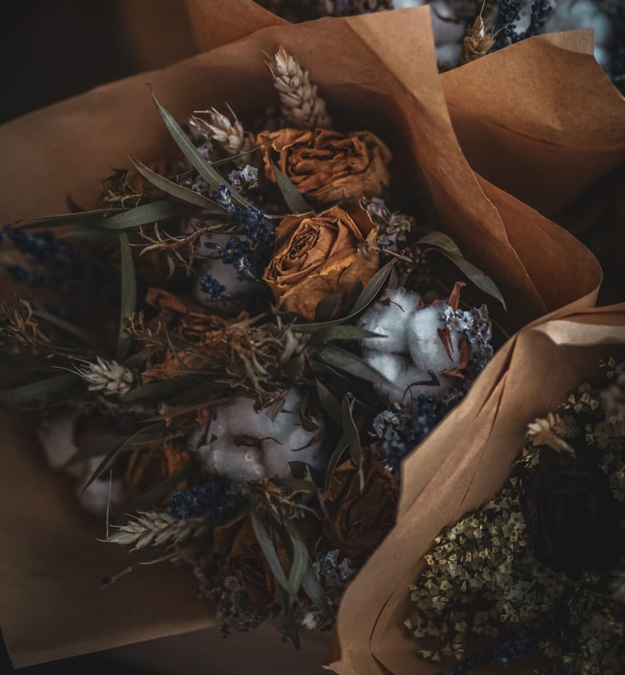 agnieszka-kowalczyk-E5zxYg-wHNo-unsplash-1