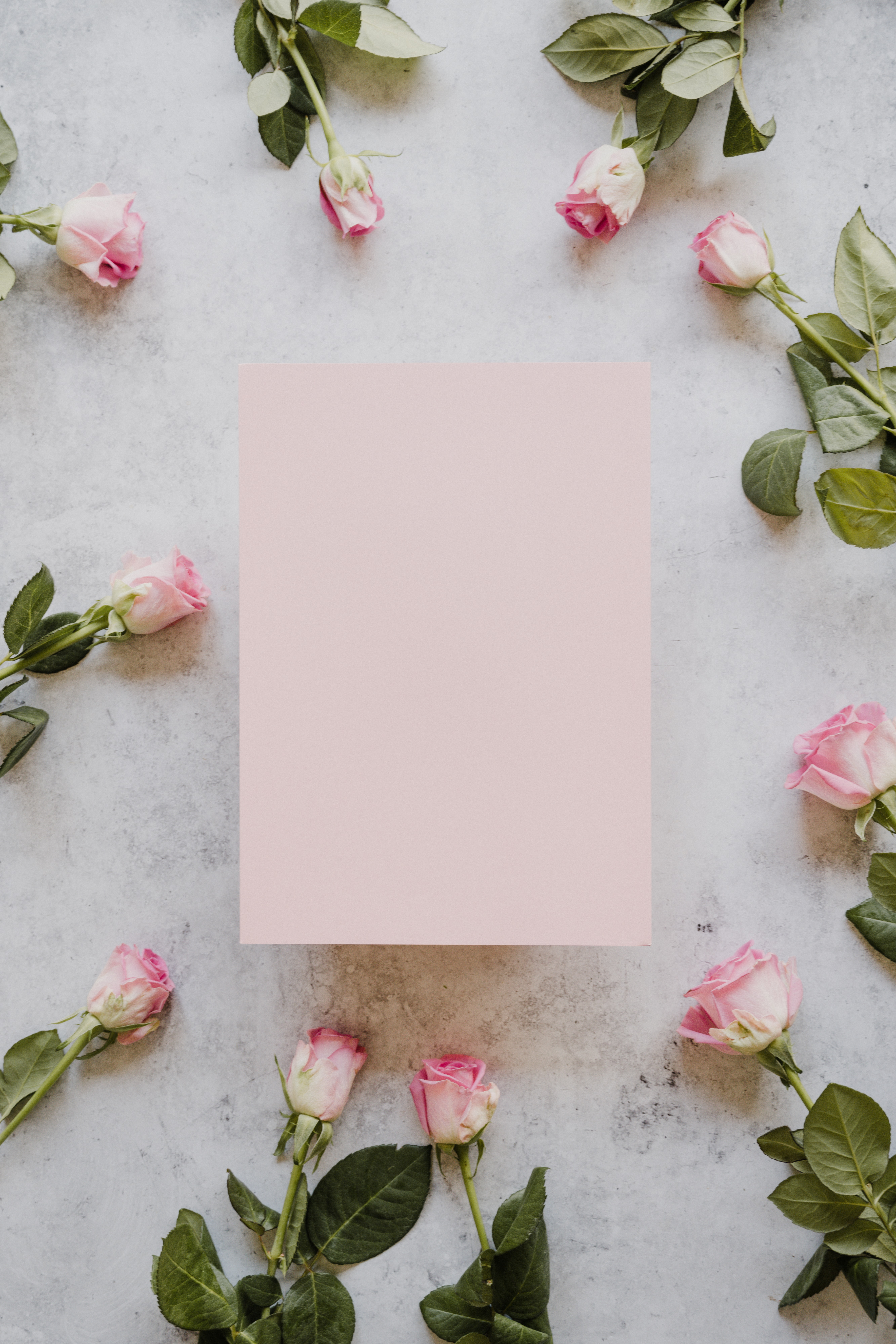 annie-spratt-BrfCiLC7Grc-unsplash