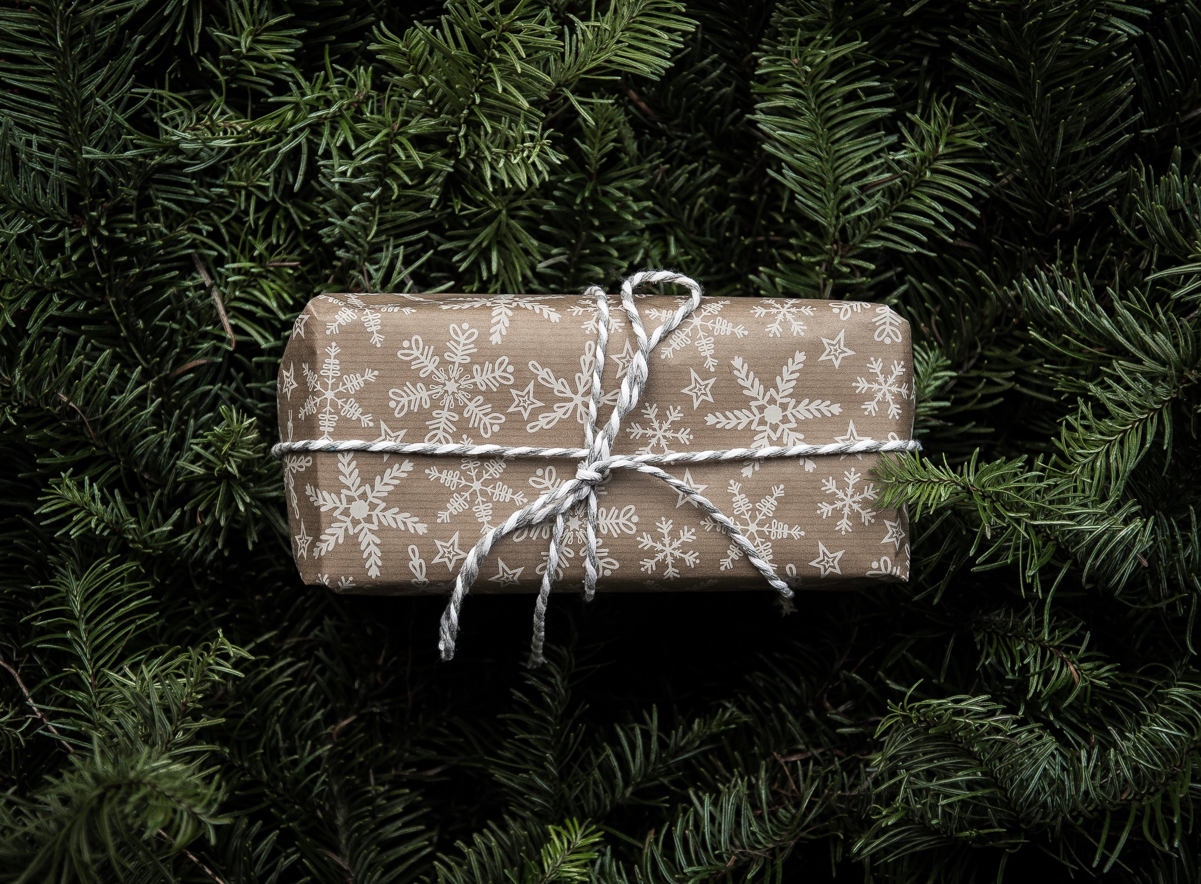 annie-spratt-HZuJfZlXVQY-unsplash 2