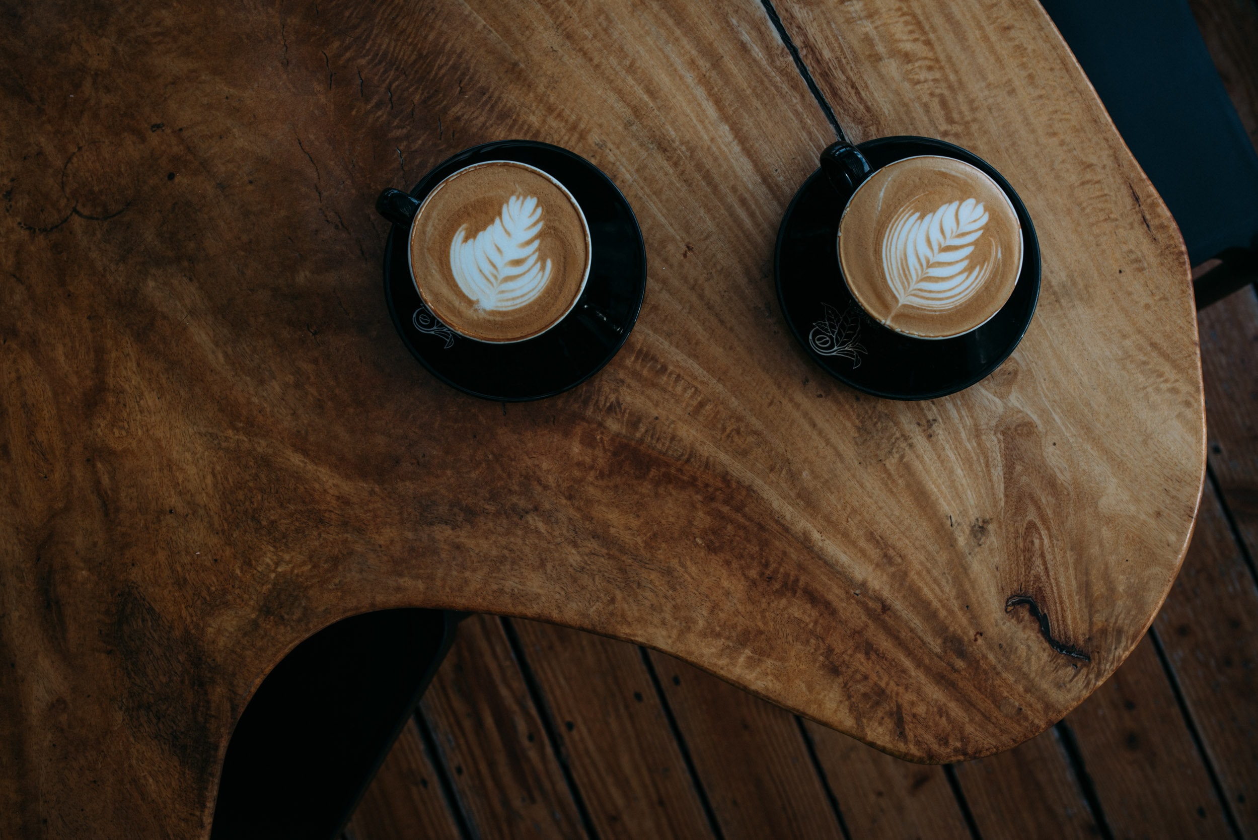 blake-wisz-D4mIeaN7Scc-unsplash
