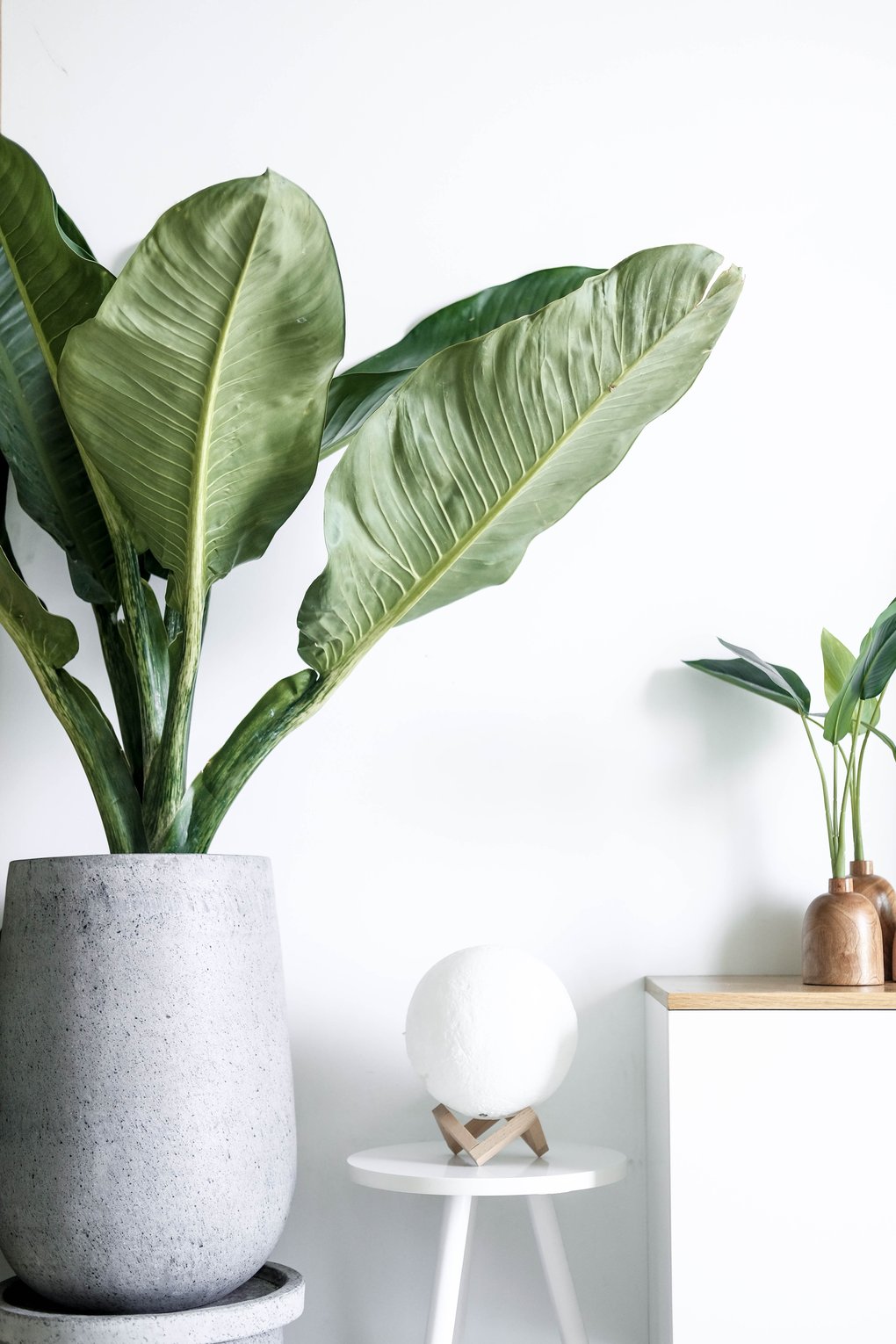 linh-le-FYgnwFMZBM0-unsplash-1