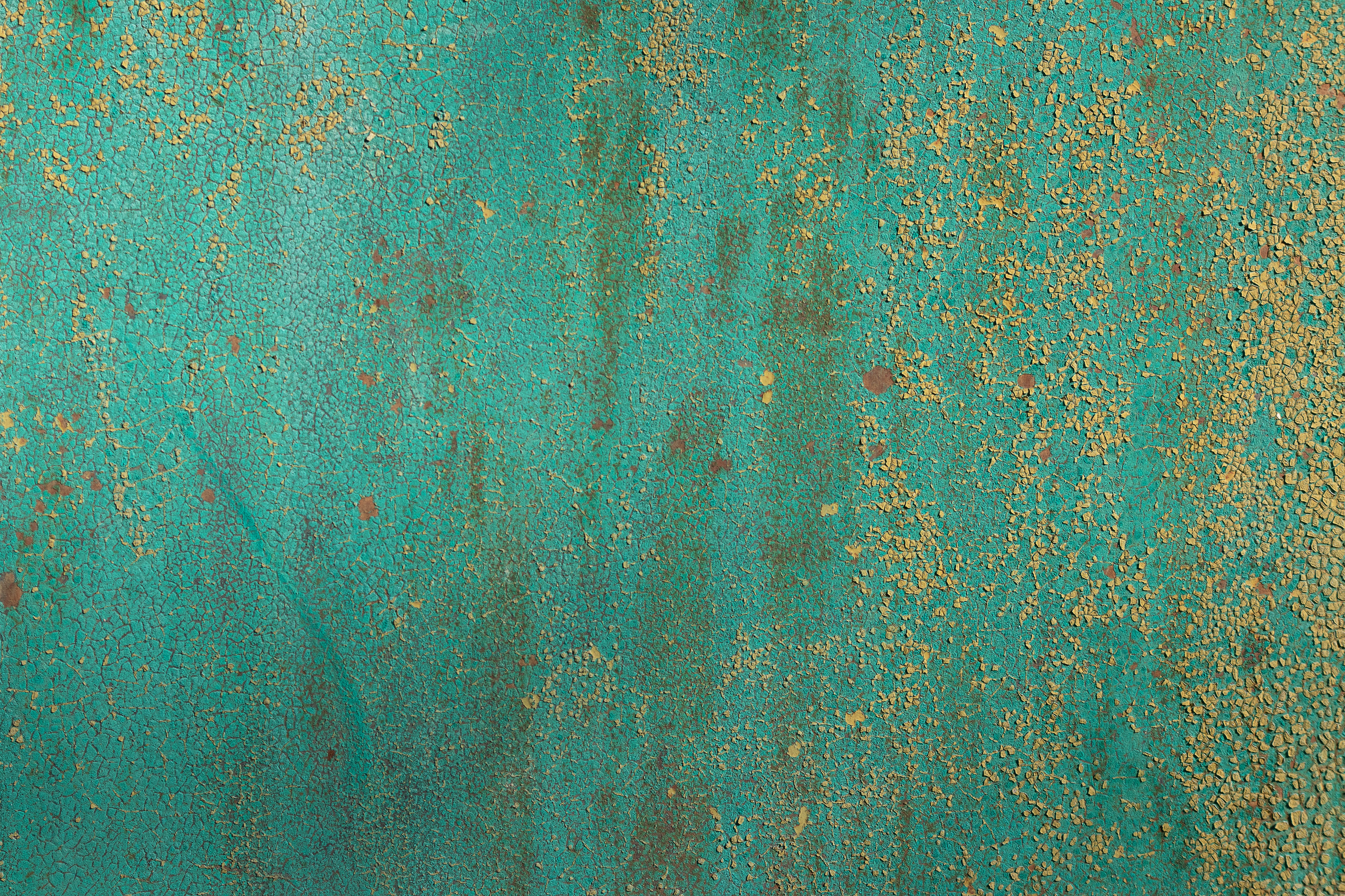 majid-gheidarlou-dViaab0Qc8o-unsplash