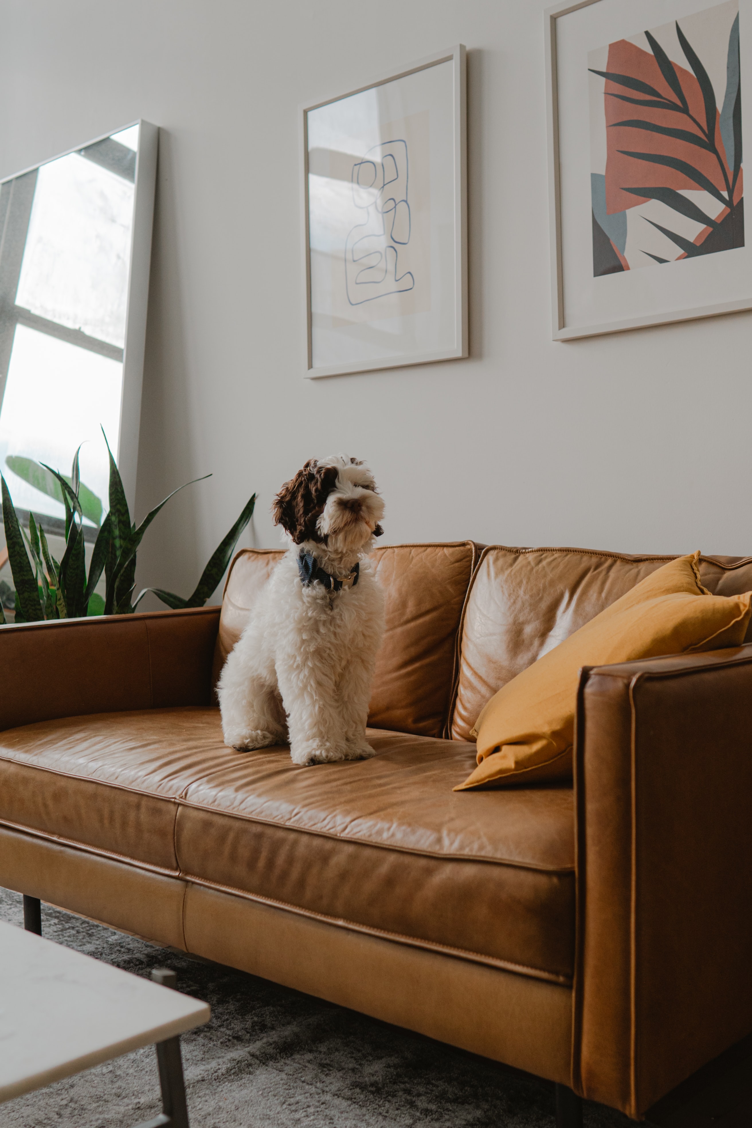michael-oxendine-KWMpdNDoVbs-unsplash