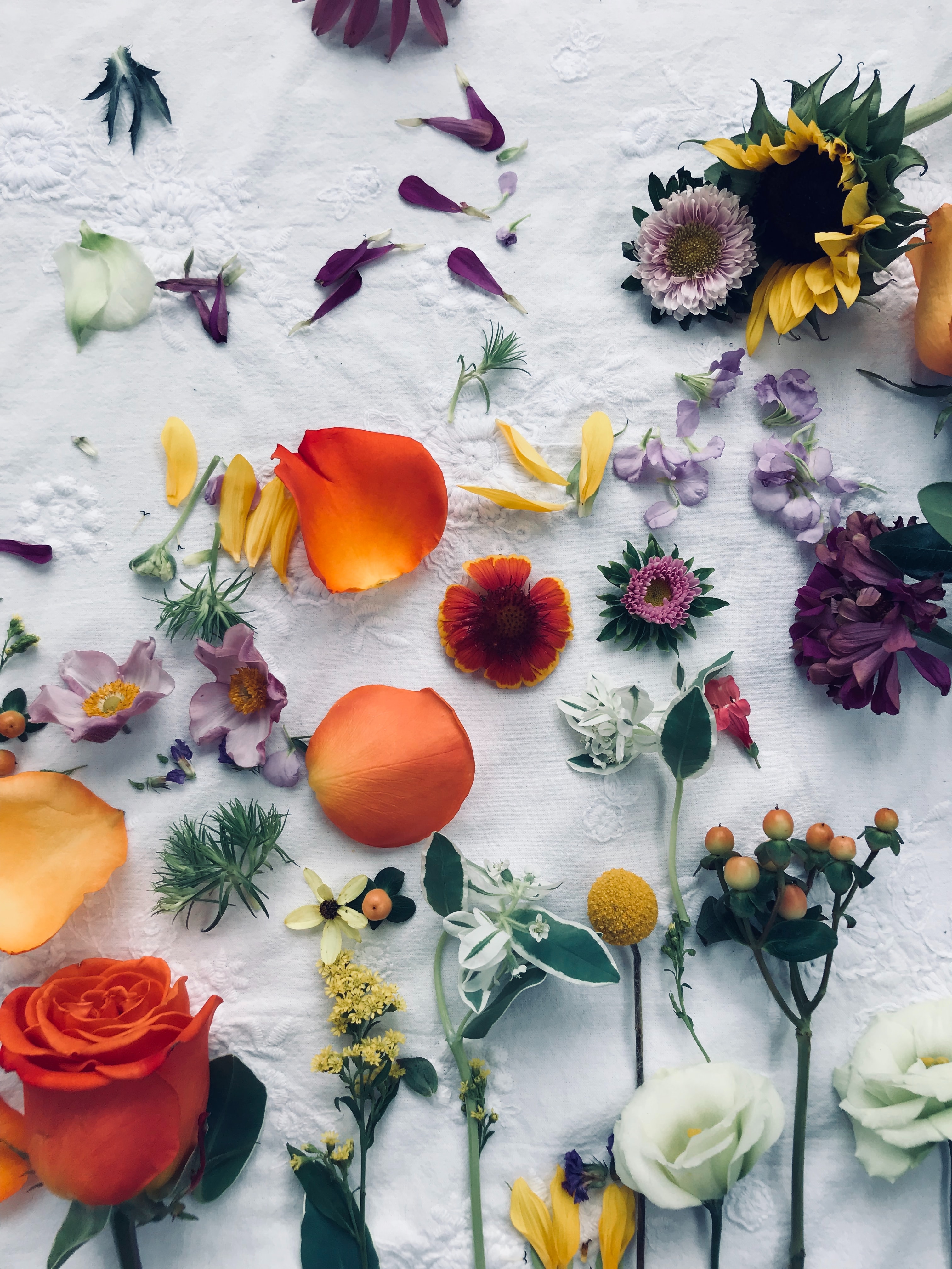 nicolette-meade-RL3F99l0XYE-unsplash