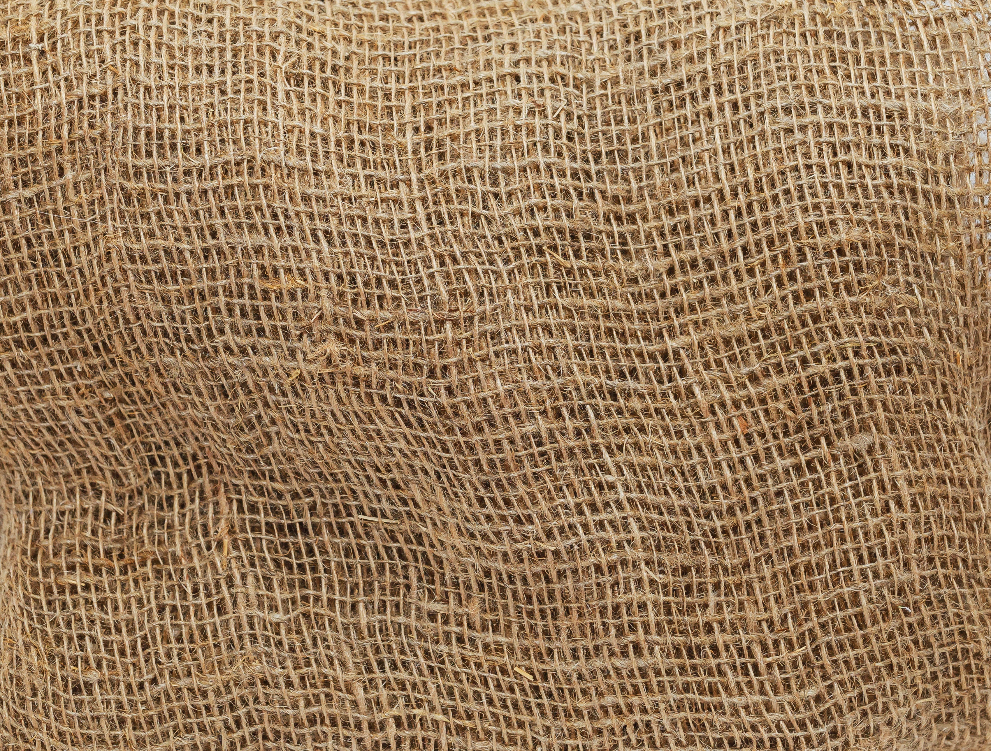 tengyart-jERbb8EK6Ks-unsplash
